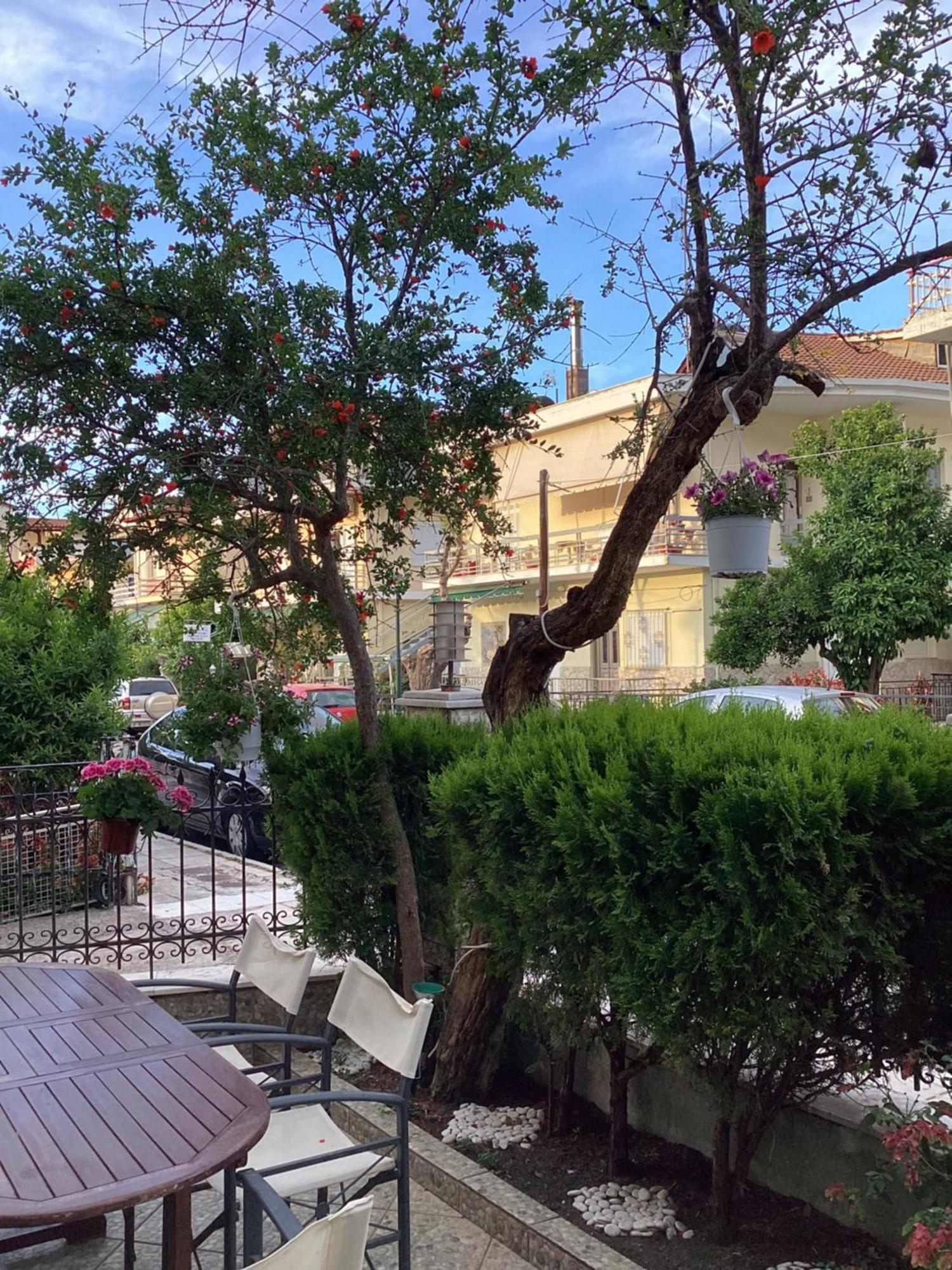 Aparthotel Alexandros Kamena Wurla Zewnętrze zdjęcie